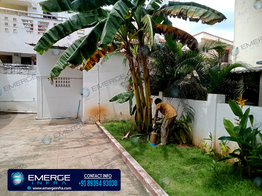 Emerge Infra provides Pest Control services for both interior and exterior buildings.
