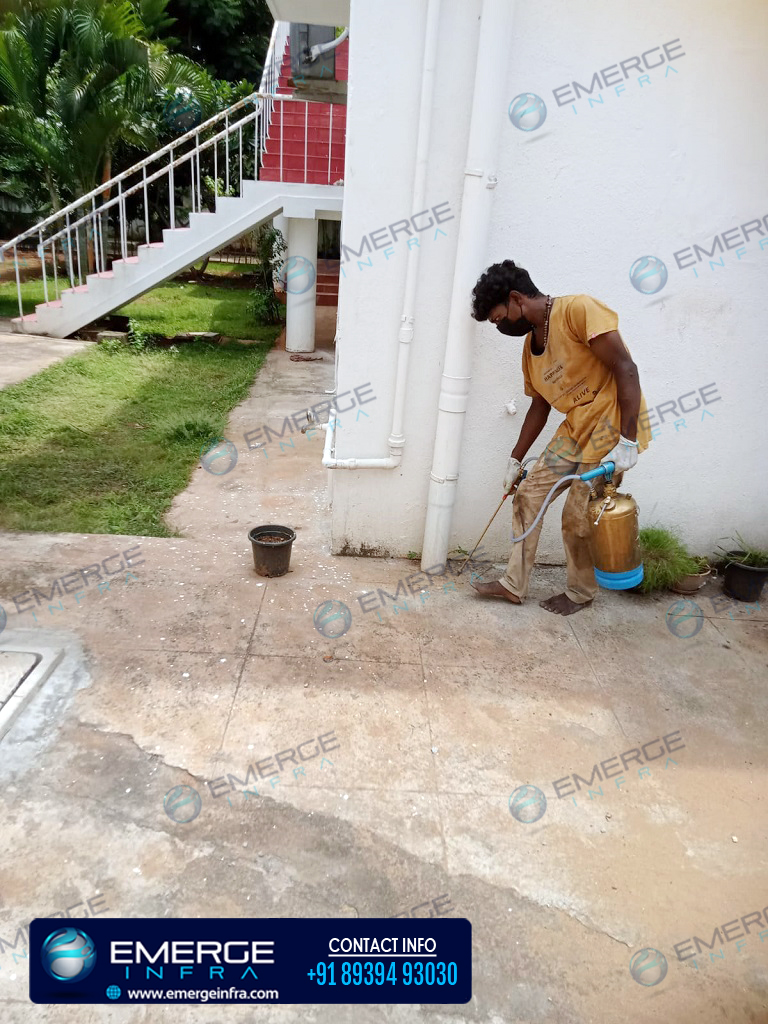 Emerge Infra provides Pest Control services for both interior and exterior buildings.