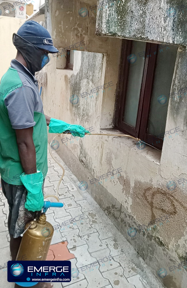 Building Pest Control Service, Mugappair, Chennai - Project done by eMerge Infra, Anna Nagar East, Chennai.